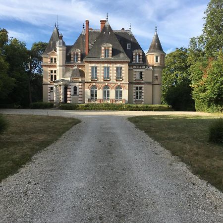 Chateau De Praslins Nogent-sur-Vernisson Buitenkant foto