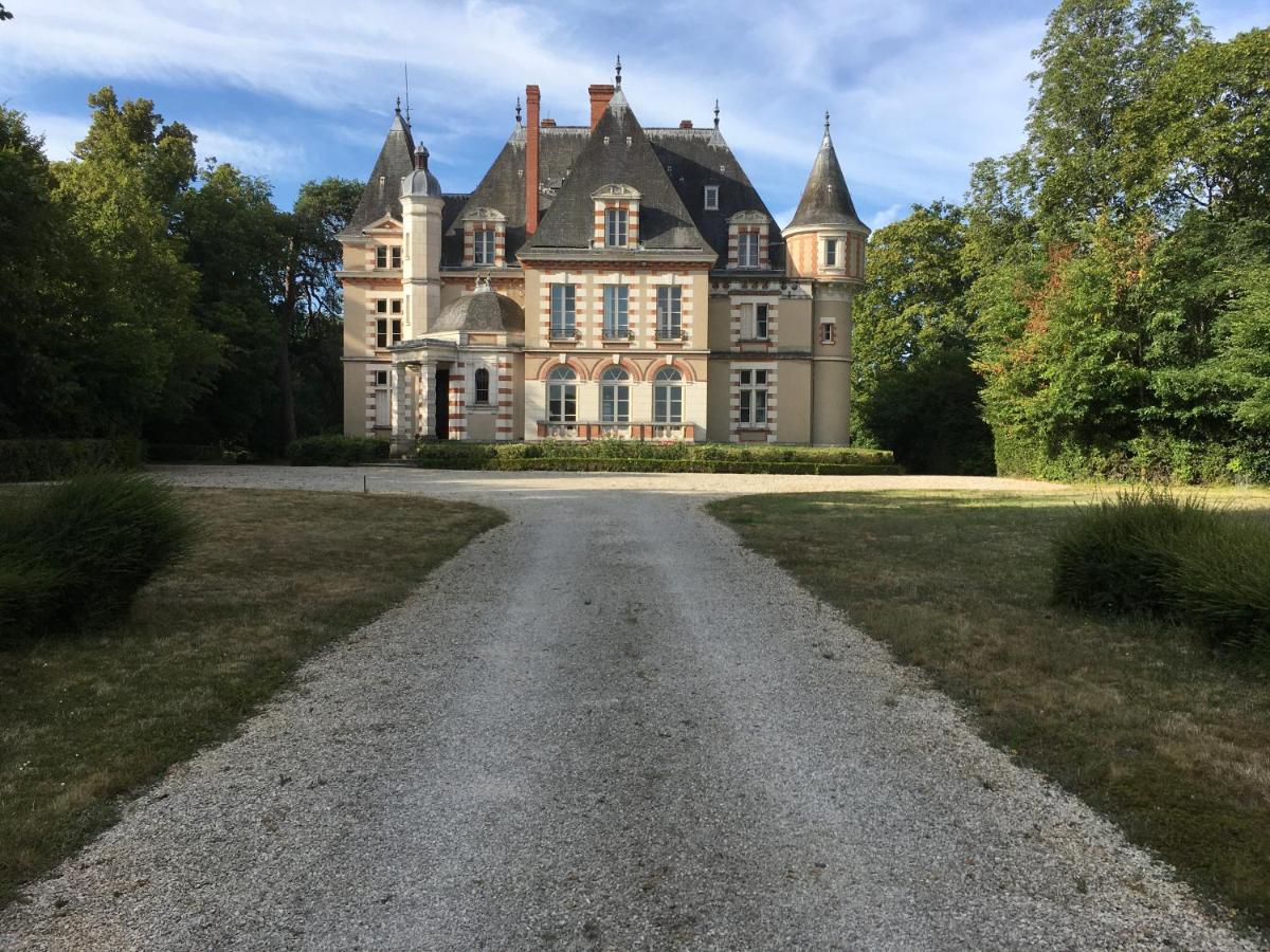 Chateau De Praslins Nogent-sur-Vernisson Buitenkant foto