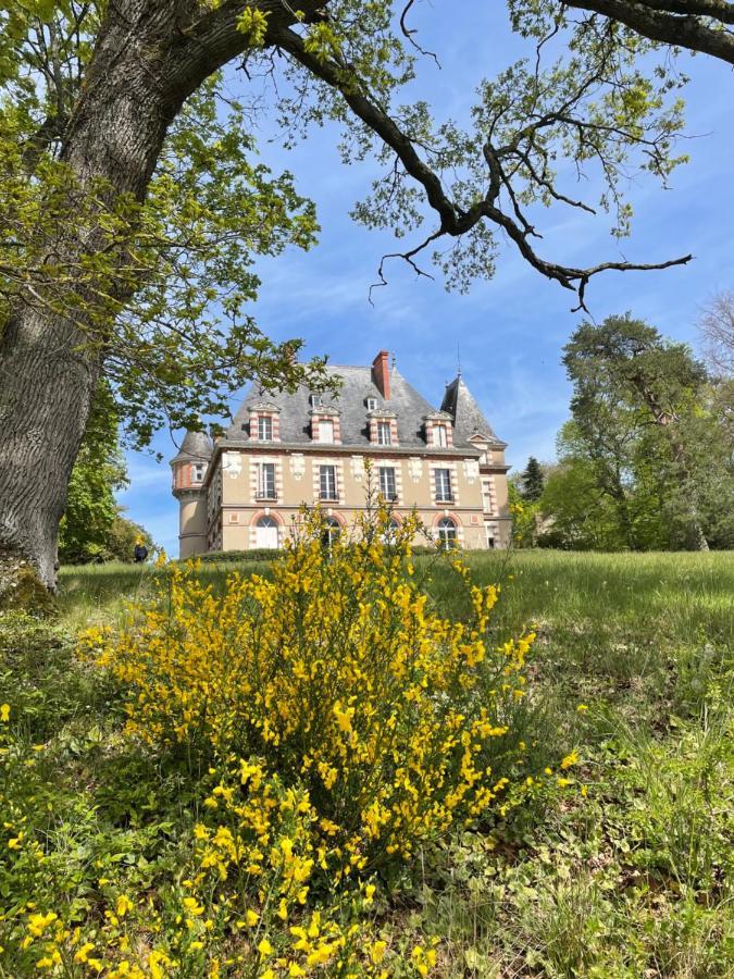 Chateau De Praslins Nogent-sur-Vernisson Buitenkant foto