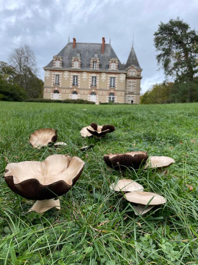 Chateau De Praslins Nogent-sur-Vernisson Buitenkant foto